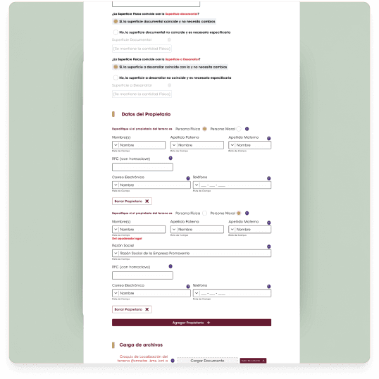 Dynamic form interface for procedure validation